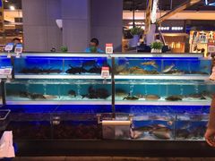 -盒马X会员店(王府井奥莱UP TOWN店)