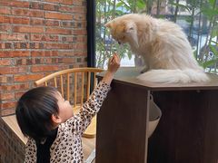 -豆逗聊愈猫阁Easy Life
