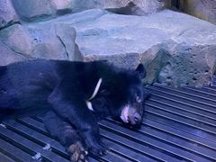 -哈尔滨波塞冬海底世界