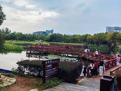 -金银湖国家城市湿地公园