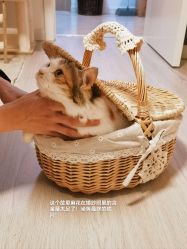 -绽放摄胶片摄影工作室