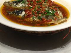 双色鱼头-毛家饭店(澳德乐店)