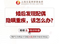 -上海日盈律师事务所·法律咨询