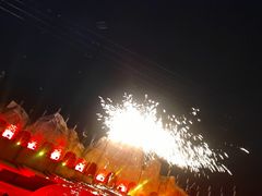 -花博汇(知音花月夜)