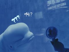 -上海海昌海洋公园