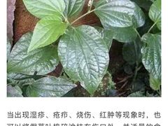-华姐鸡粉(教育路店)