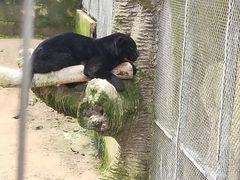 -宁波野生动物园