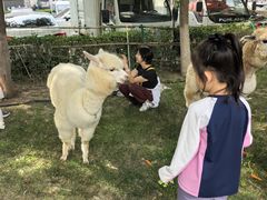 -廊坊固安福朋喜来登酒店