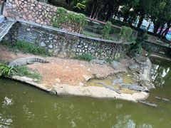 -南宁市动物园