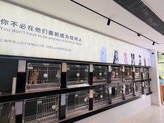 -翊宠yipet猫狗购宠庄园犬舍•猫舍