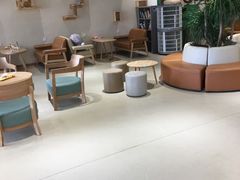 大堂-藏猫猫咖啡主题馆(中央大道店)