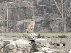-宁波野生动物园
