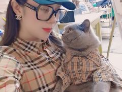 -猫大福·Fortune Cat猫舍(百子湾店)