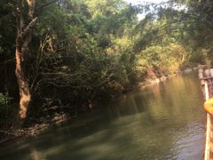 -九曲溪竹筏码头