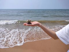 -老虎石海上公园