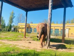 -哈尔滨北方森林动物园