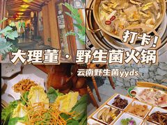 -大理董·董家小厨野生菌火锅(古城旗舰店)