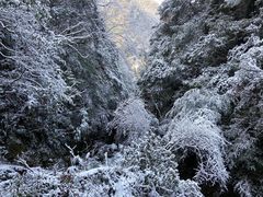 -青城山