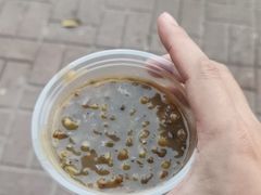 -钟姨糖水(惠城店)