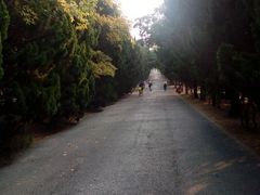 android_upload_pic-八大关景区