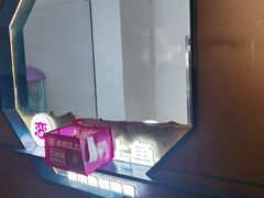 -老板恋上鱼(振华商厦店)