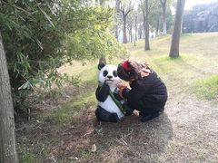 -自然谷恐龙园