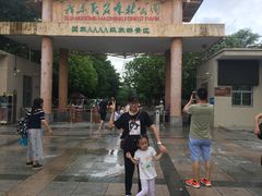 -广东茂名森林公园