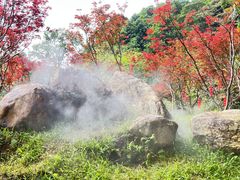 -广州市帽峰山景区