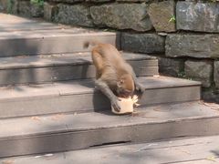 -黔灵山公园