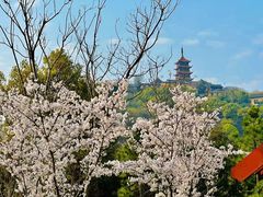 -狼山风景名胜区