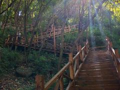 -大岭沟猕猴桃谷风景区