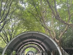 -人民公园-相亲角