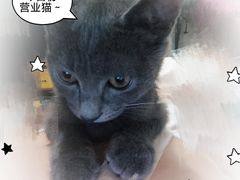 -半岛宠物医院24小时(科华中路店)