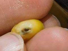 -米村拌饭(杭州国大城市广场店)