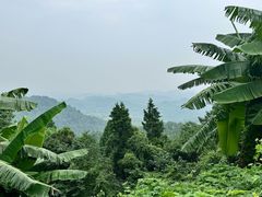 -成都老君山
