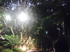 -龙井壹号·茶缘山景宴(龙井村店)