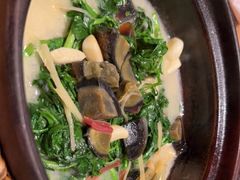 -顺风汤馆·广府粤菜(江宸天街店)