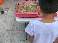 -华声天桥民俗文化园