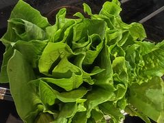 -皇城根·京城味家常菜(西市场·嘉华广场店)