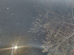 -水泊梁山清真铁锅炖鱼(华苑店)