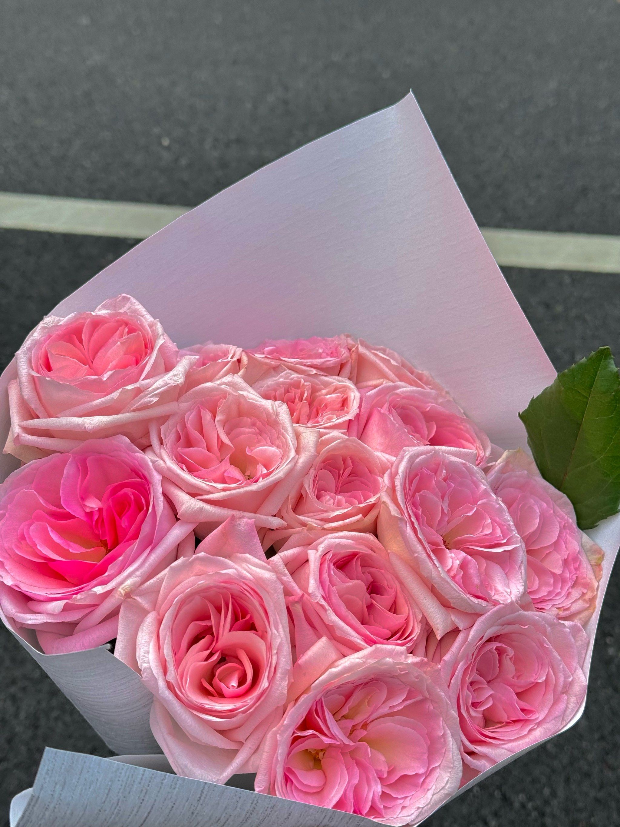 难怪许红豆会喜欢谢之遥～～
谁能拒绝一束粉色的玫瑰花🌸
明星