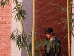 -草场地艺术区