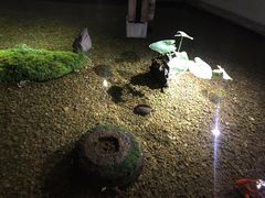 -几荷·恰似故人来(秀水广场店)