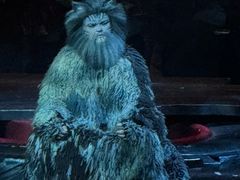 -交通银行前滩31演艺中心