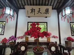 -上海醉白池公园