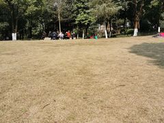 -重庆彩云湖湿地公园