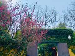-慧因高丽寺