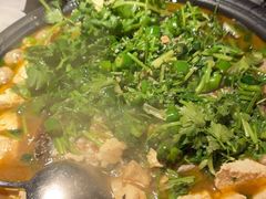-探鱼·鲜青椒爽麻烤鱼(广州花都来又来店)
