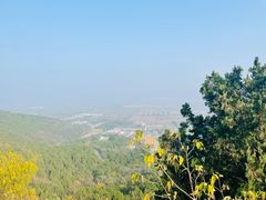 -北京西山国家森林公园