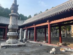 -四门塔风景区